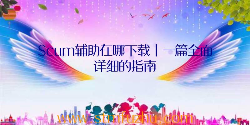 Scum辅助在哪下载|一篇全面详细的指南